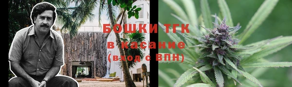 мяу мяу мука Елабуга
