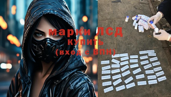 мяу мяу мука Елабуга