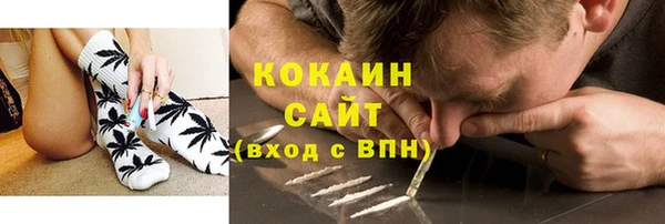 мяу мяу мука Елабуга