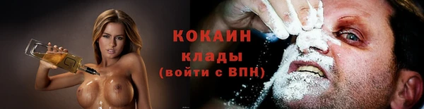 метадон Ельня