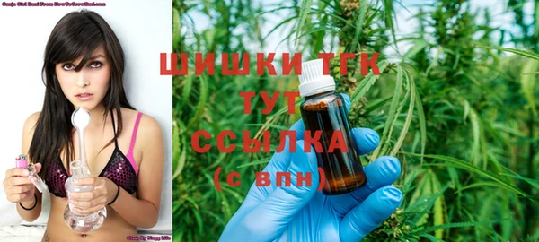метадон Ельня