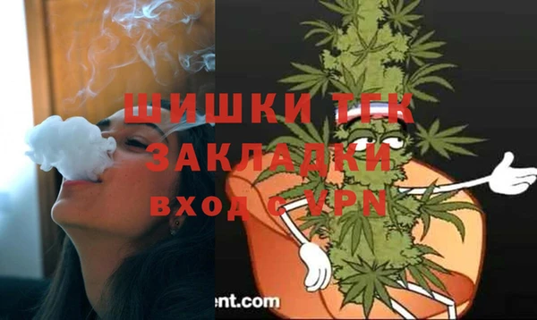метадон Ельня