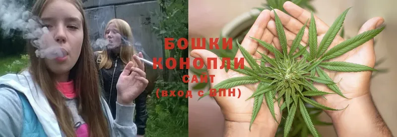 цена   Нефтеюганск  Бошки марихуана OG Kush 